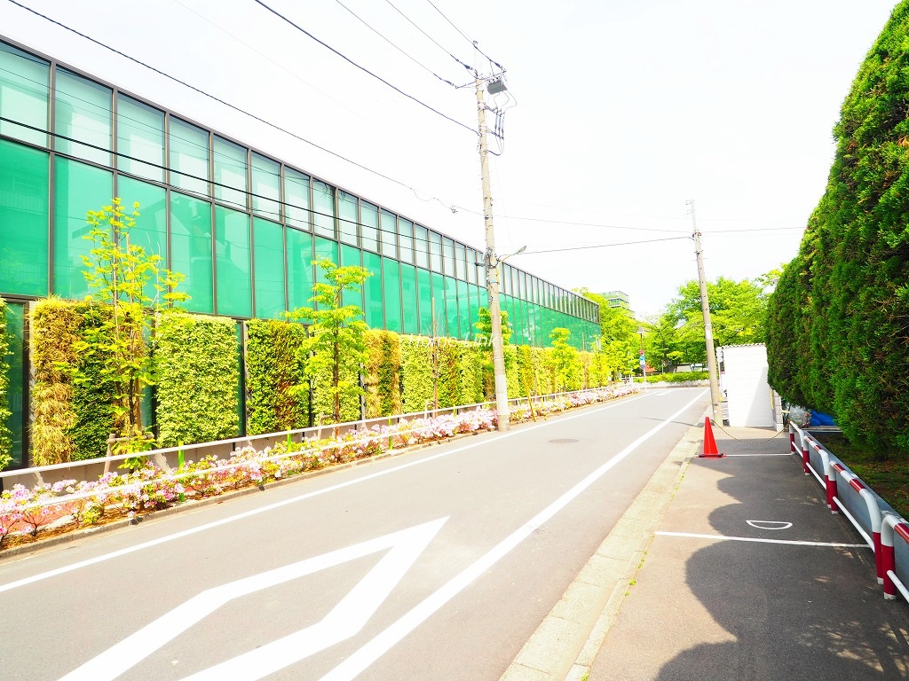 東久高島平ハイツ　前面道路